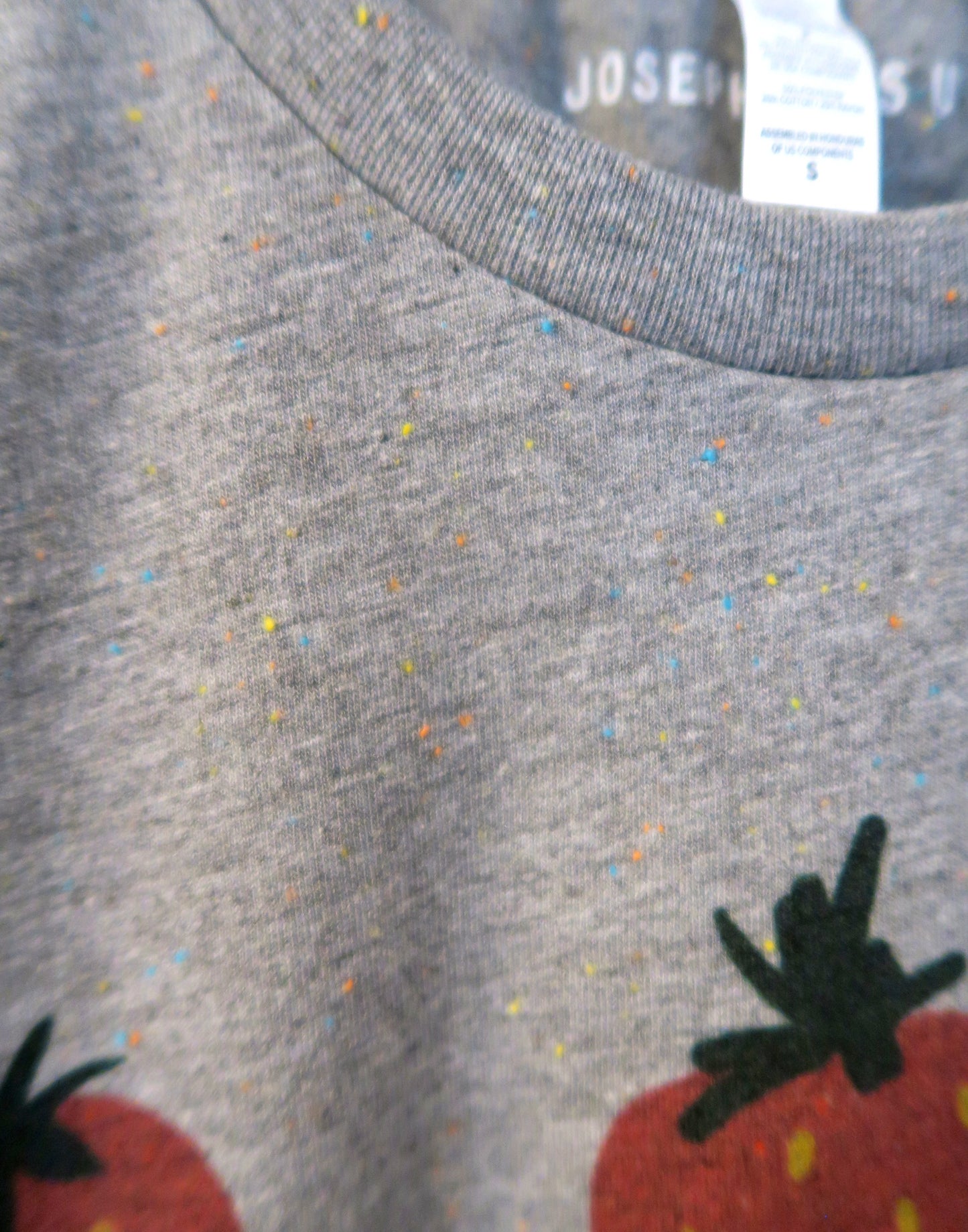 Strawberries, Rainbow Speckled T-Shirt